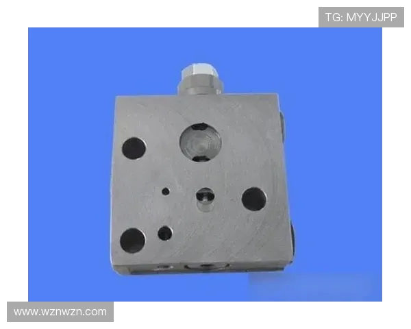 挖掘机负载保持阀作用